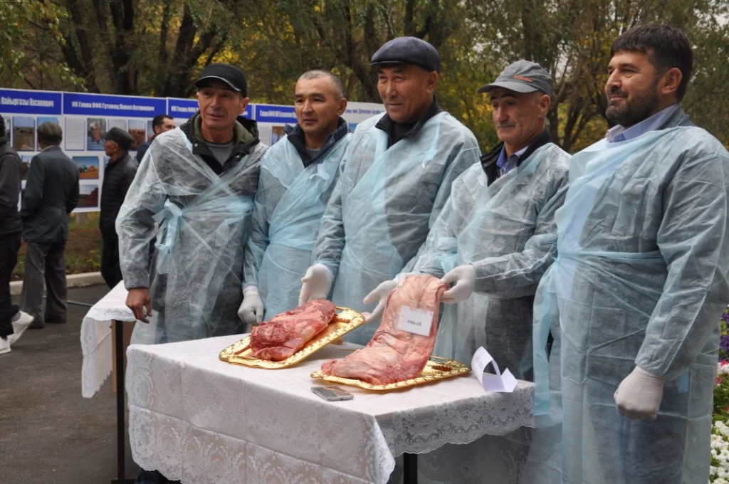 Саратовская область,2019,Александров Гай,Мраморное мясо,ООО «Велес»,ООО «Сысоевски»,АО «Цель»,ЗАО «Красный Партизан»