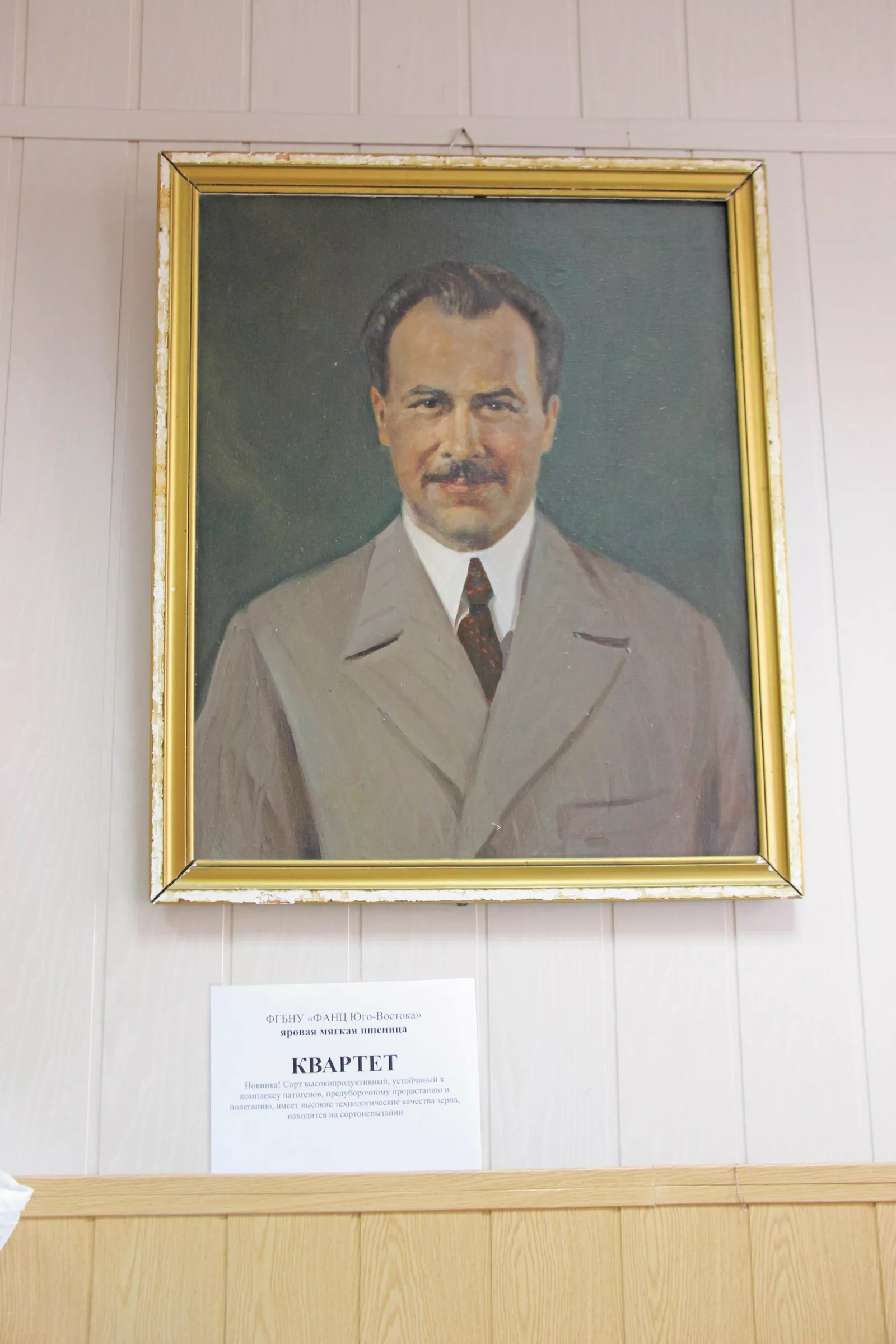 Портрет Н.И. Вавилова в лаборатории