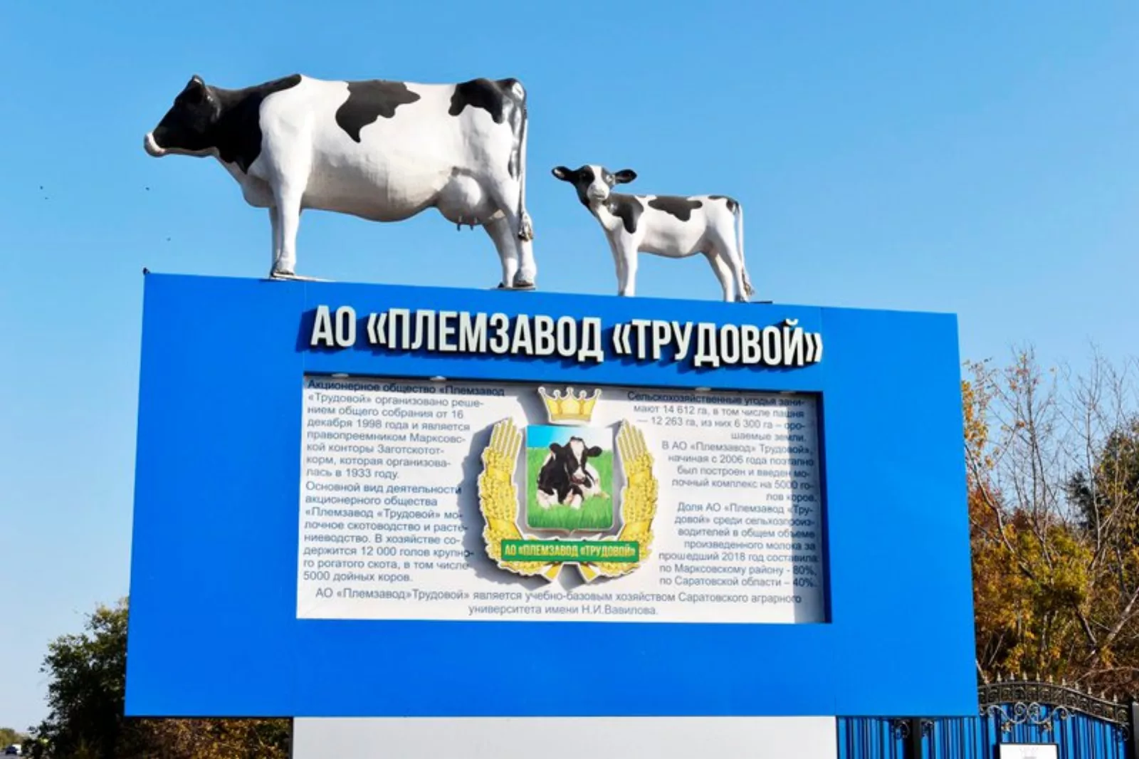 Союзмолоко вновь назвал самые эффективные молочные фермы России. В рейтинге 2022 года на 17 месте находится детище семьи Байзульдиновых из Марксовского района Саратовской области племзавод «Трудовой». 