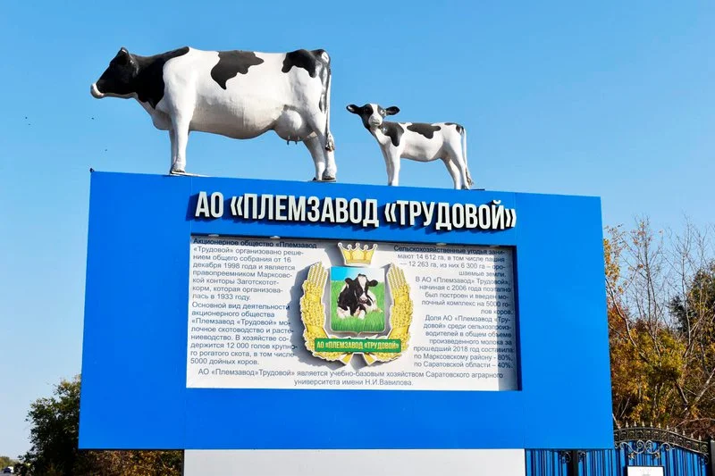День молока