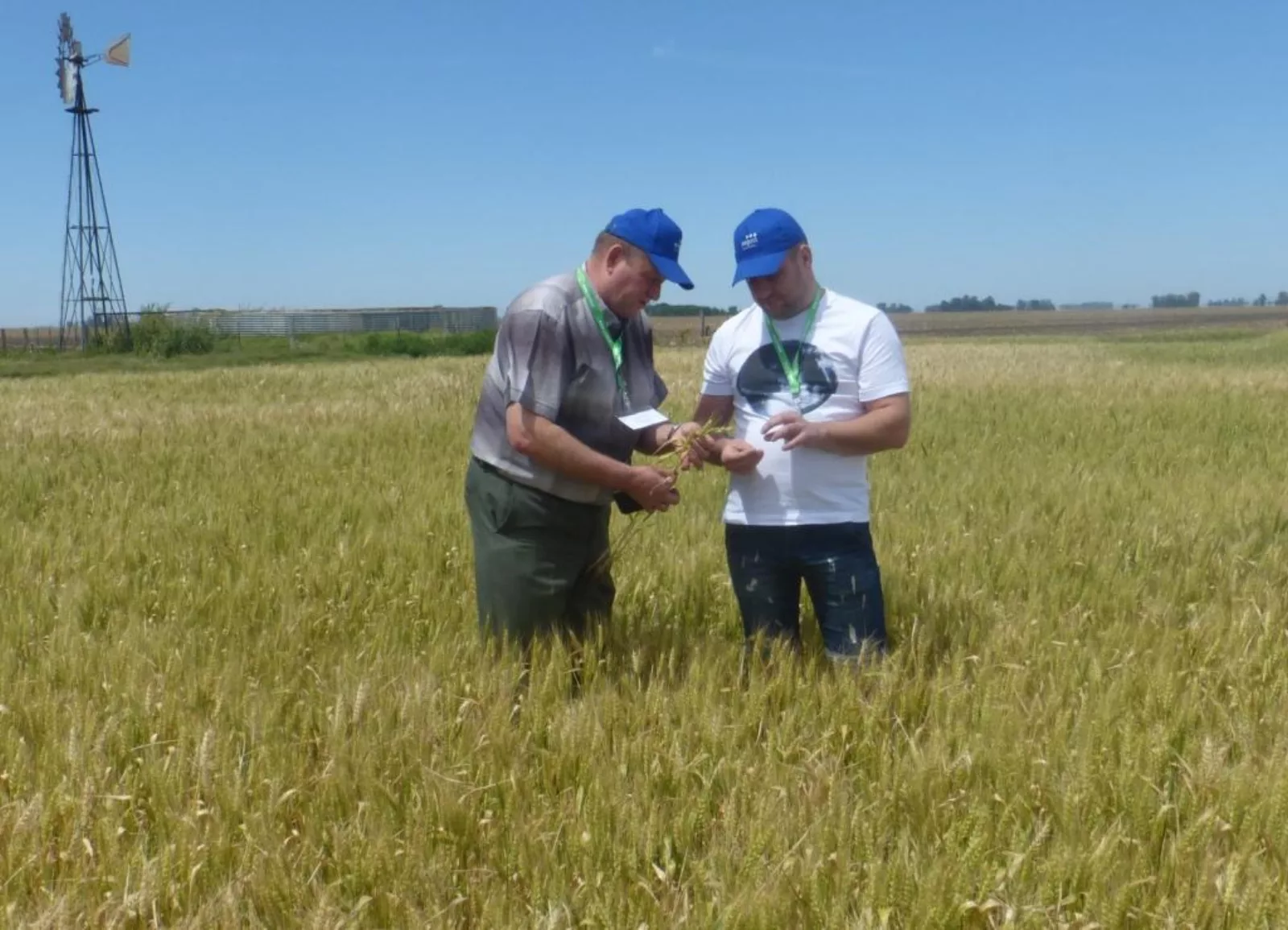 Аргентина, Солнечные продукты, Август, no-till