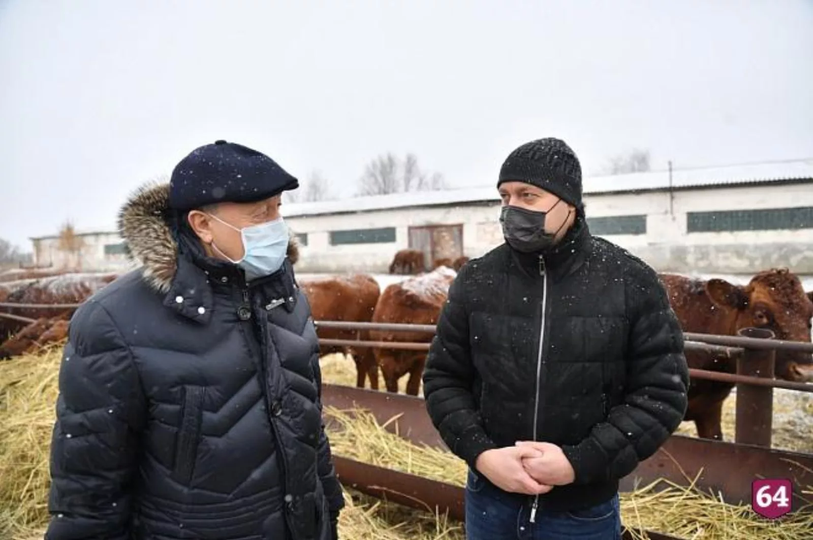Симбирские бестужевки приживаются на Саратовщине