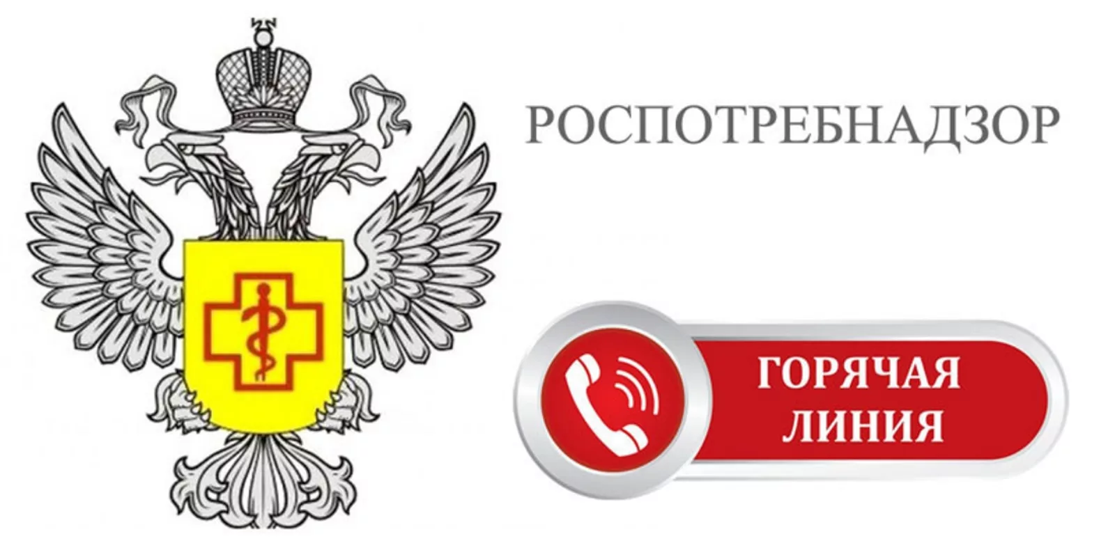 Роспотребнадзор,2019,горячая линия
