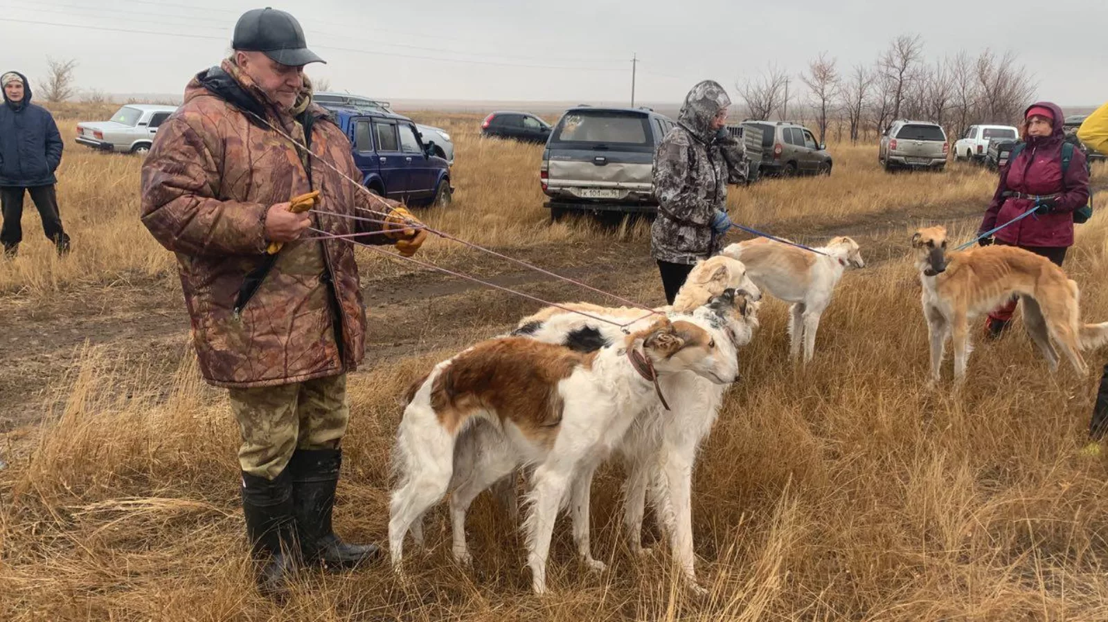 С 12 по 15 октября в Дергачевском районе проходили Саратовские областные испытания борзых собак