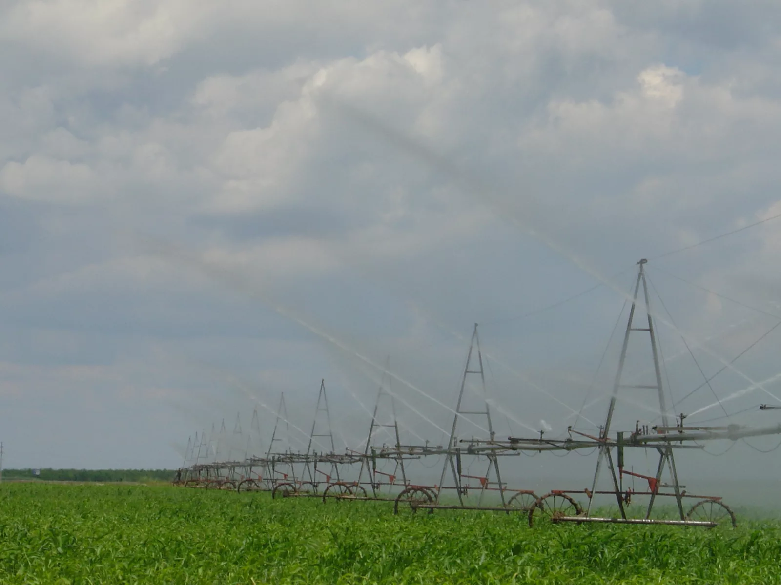 руководитель ФГБУ «Саратовмелиоводхоз» с апреля 2020 года, депутат областной думы Дмитрий Николаевич Полулях