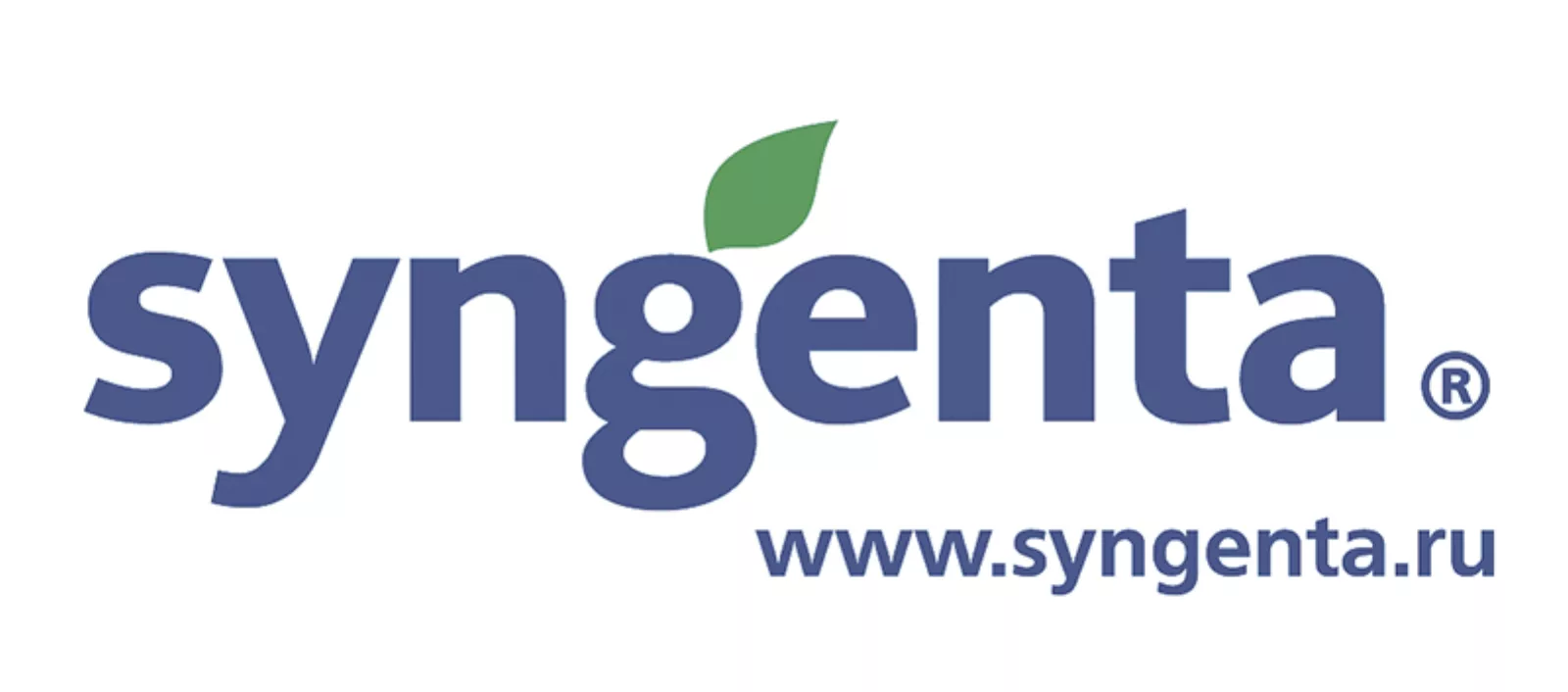 syngenta, Vigor™ Effect, ДИВИДЕНД® СУПРИМ, протравитель, зерновые