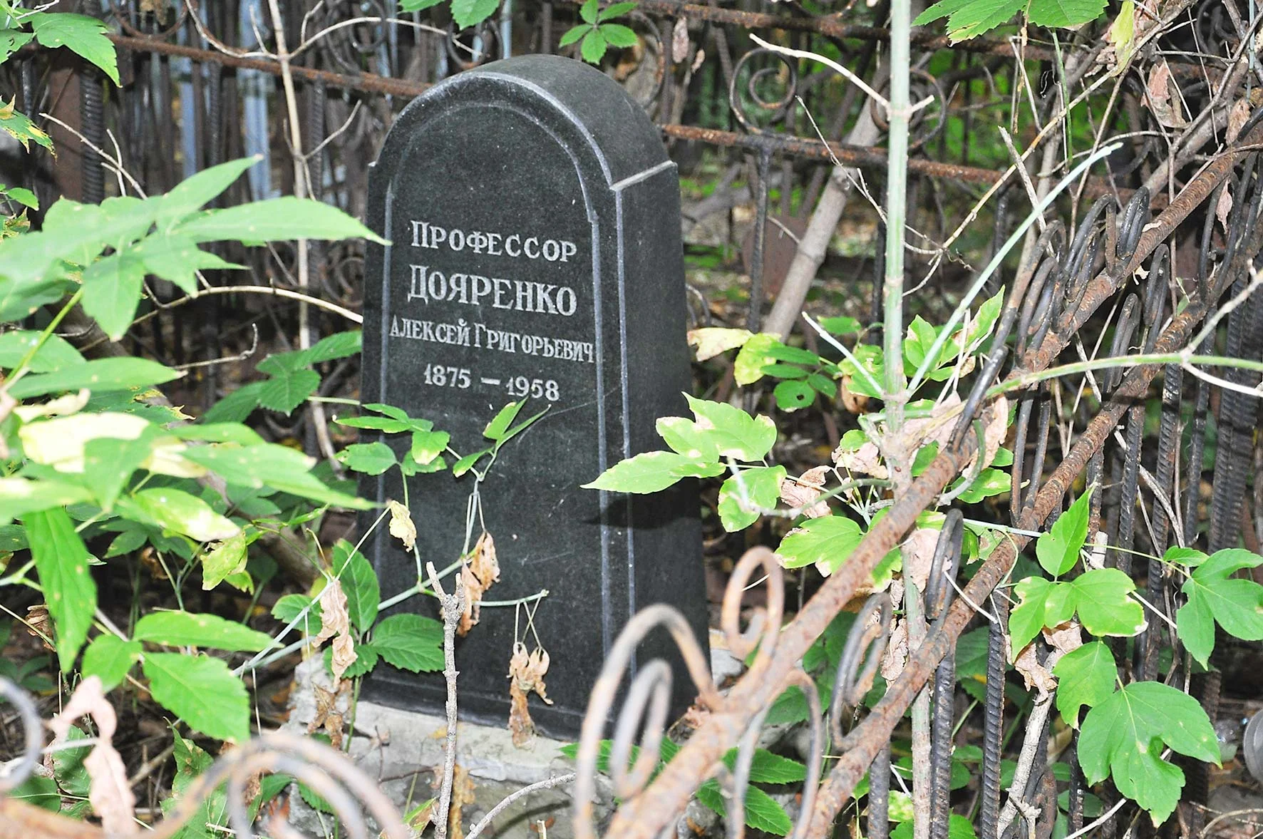 Павел Артемов, гендиректор ООО «Агрофирма «Рубеж» Пугачевского района, руководитель одного из самых крупных и многоотраслевых хозяйств Саратовской области